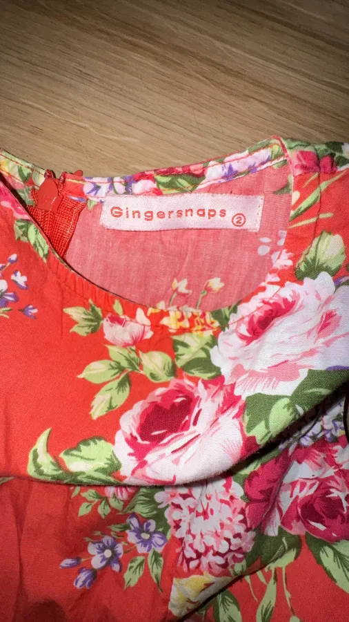 Ginger Snaos Girls pleated fit&flare floral   dress - Photo 5 of 5