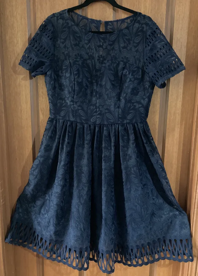 Chi Chi London navy blue lace fit and flare party dress. Size 16 - Photo 1 of 6